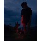 peakpup. LightLead