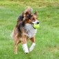 HappyPet Breeze® Ball HappyPet Breeze® Ball