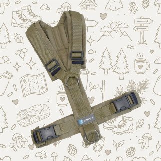 anny·x Fun Limited Edition