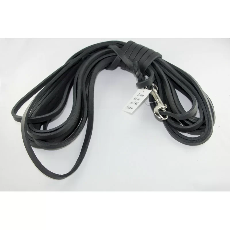 Fettleder 10 Meter Chrom mit Handschlaufe