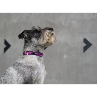 DogCopenhagen | Urban Style™ Collar