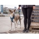 DogCopenhagen | Comfort Walk Pro V2