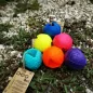 Moby Hunde Ball
