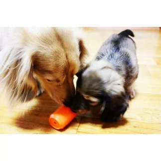 Dose Leckerli-Spender SMALL