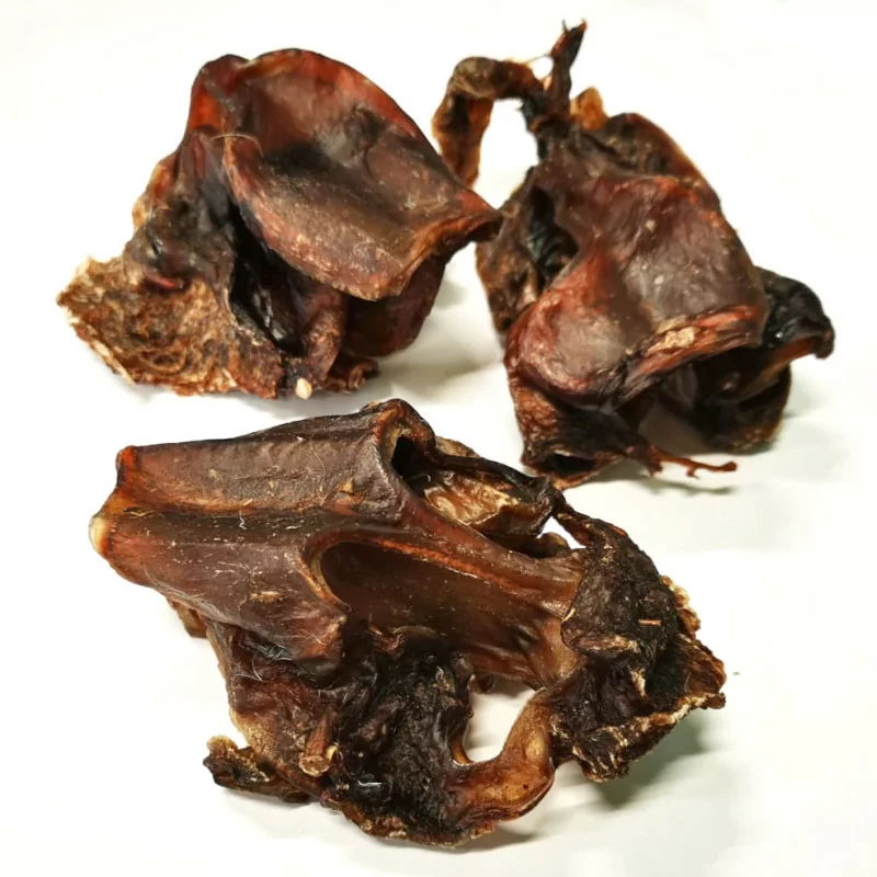Nasenknorpel