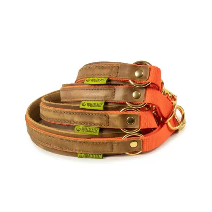 Zug-Stopp-Halsband Bremso