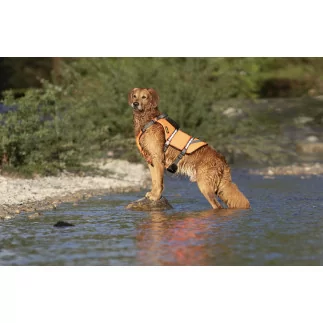 Dogger Schwimmweste