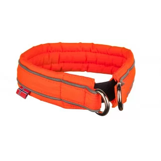 Nonstop Safe collar