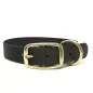 Mystique® Biothane Halsband