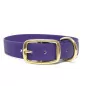 Mystique® Biothane Halsband