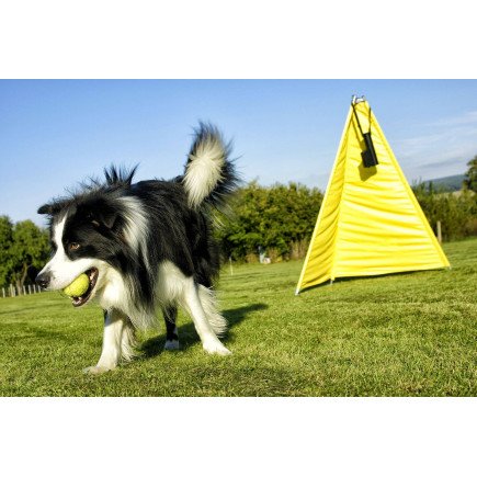 DOGTRACE D-BALL DROP SET