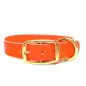 Mystique® Biothane Halsband