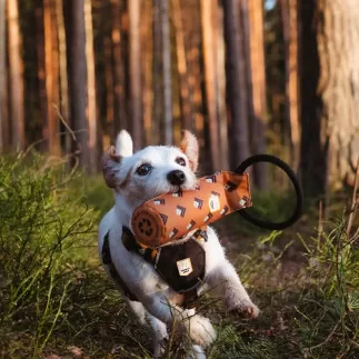 WoollyWolf Floaty Apportierspielzeug