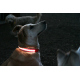 Low Beams™ Leuchthalsbänder für kleine Hunde