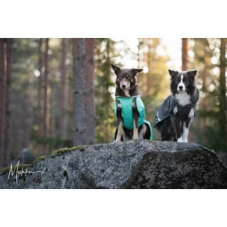 ToppaPomppa Graphit