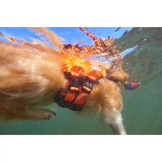 NonStop Protector life jacket