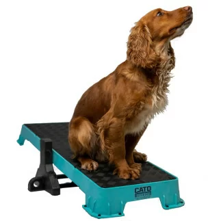 Cato Tilt Stand