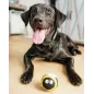 Buschierbälle /Filzball 7cm Buschierbälle /Filzball 7cm