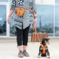 DogCopenhagen | Go Explore™ Leckerlitasche DogCopenhagen | Go Explore™ Leckerlitasche