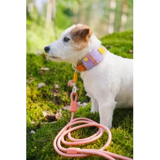 Woolly Wolf Halsband Alpha 360