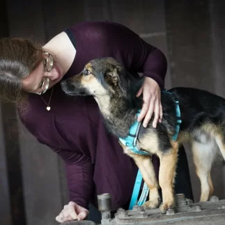 anny·x Fun Limited Edition «ICE»