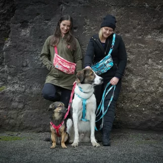 anny·x Fun Limited Edition «ICE»