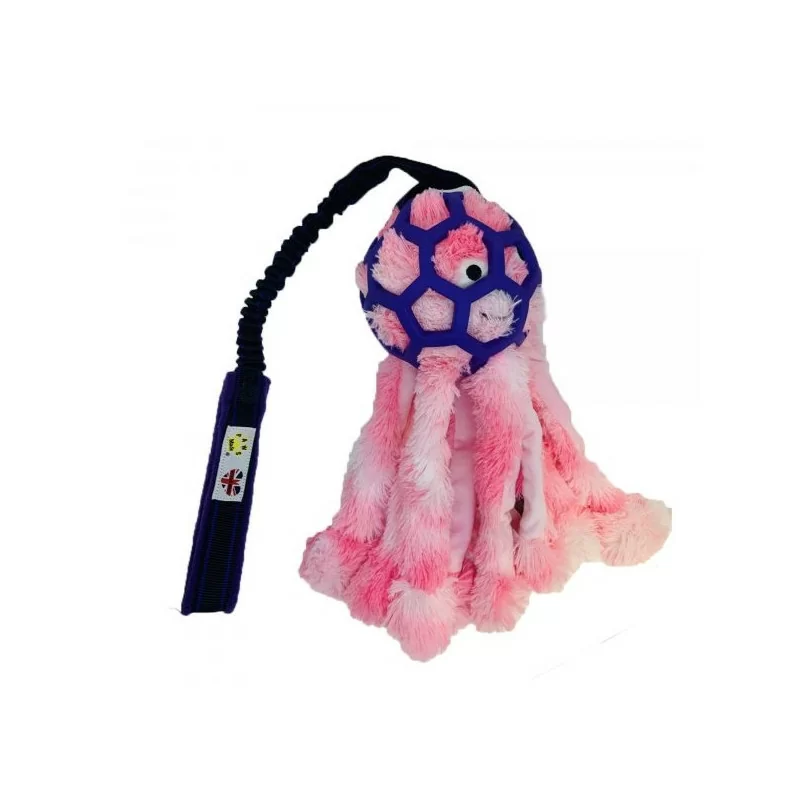 Paws Made™ Hol-e mit Octopus Small - Bungee