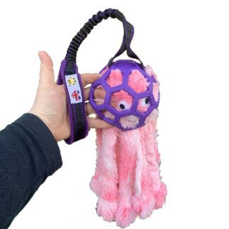 Paws Made™ Hol-e mit Octopus Small - Bungee