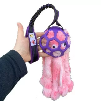 Paws Made™ Hol-e mit Octopus Small - Bungee