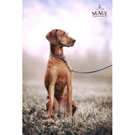 Lederhalsband rundgenäht Tabac