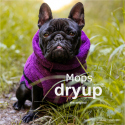 Dryup Mops & Dackel