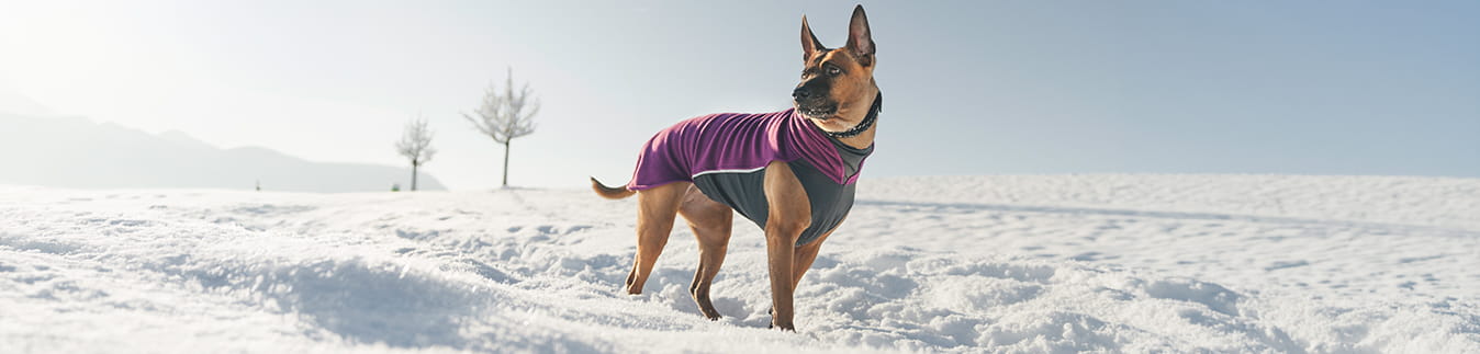 Hund mit JumppaPomppa im Schnee – Fleecepullover mit guter Rückenabdeckung