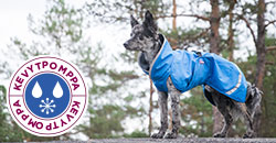 Hund mit KevytPomppa Regenmantel